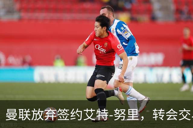曼联放弃签约艾特-努里，转会交易未果