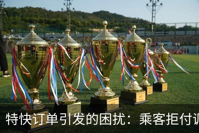 特快订单引发的困扰：乘客拒付调度费的司机无眠夜
